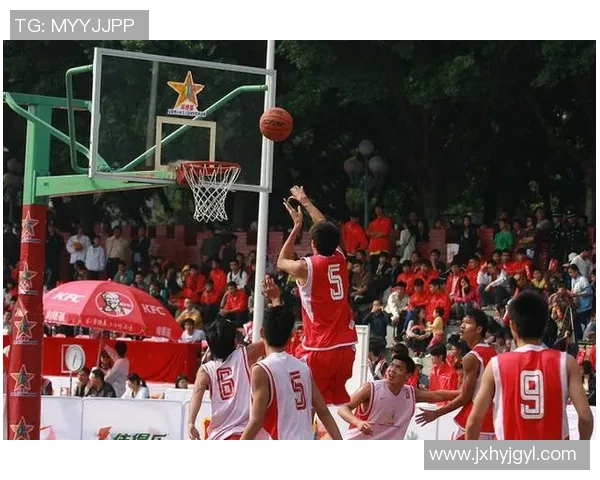 运动最新数据科学篮球比赛经验与训练方法的全面探讨与实践指南